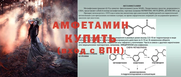 ECSTASY Струнино
